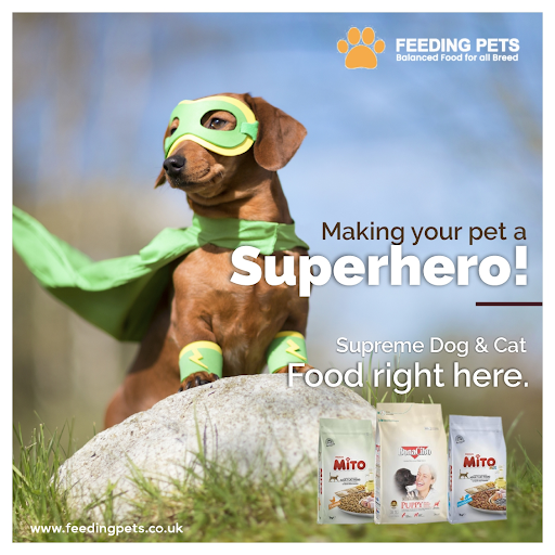 Brand Identity Design