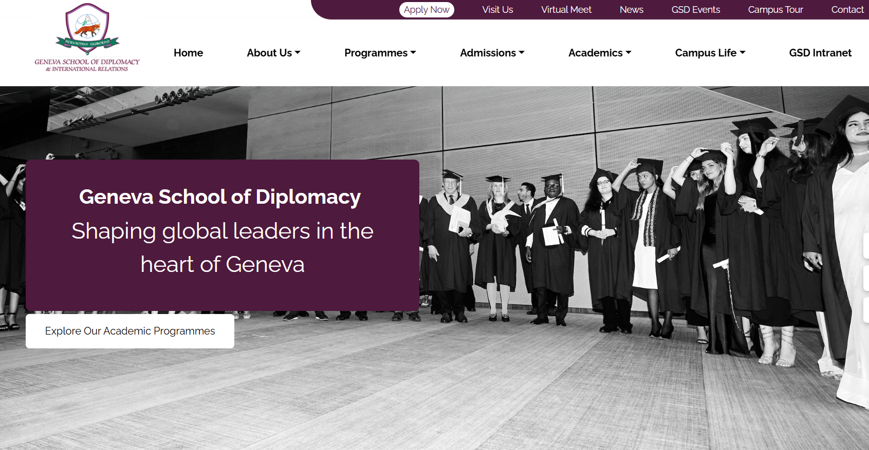 Website Design & Development Performance