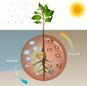 TRUE_HYDROGEL_works