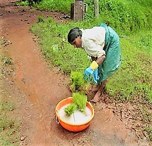 agriculture_hydrogel